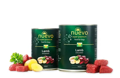 Nuevo