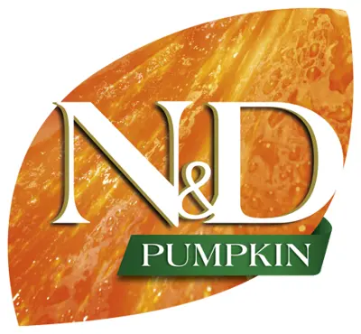 Pumpkin - tekvica