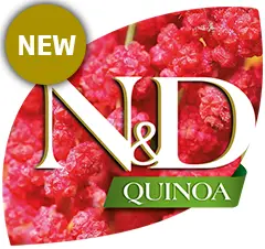 Quinoa