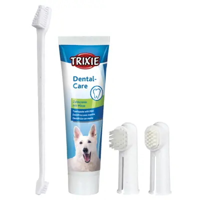 Dentalna hygiena