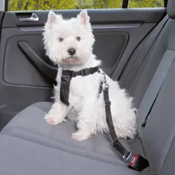 TRIXIE Bezpečnostný pás pre psa do auta M / 50-70 cm