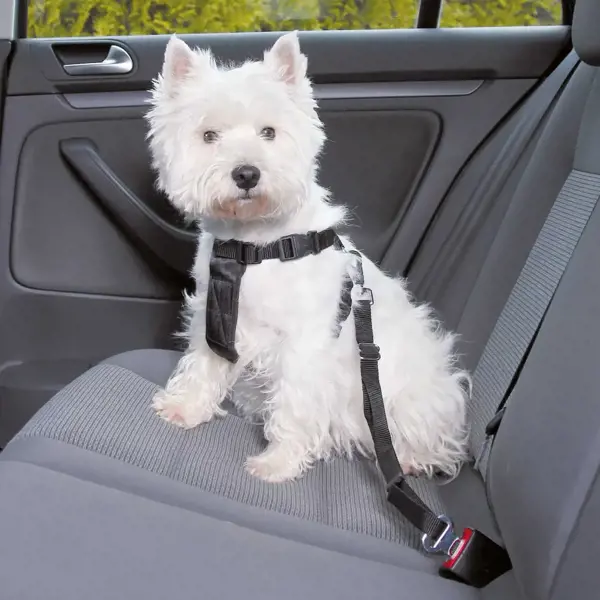 TRIXIE Bezpečnostný pás pre psa do auta S / 30-60 cm